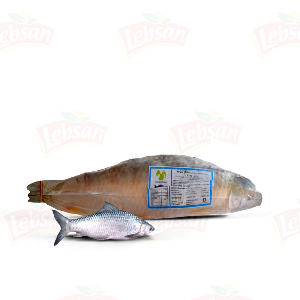 Mrigal Fisk 2kg upp GFI 20kg/krt